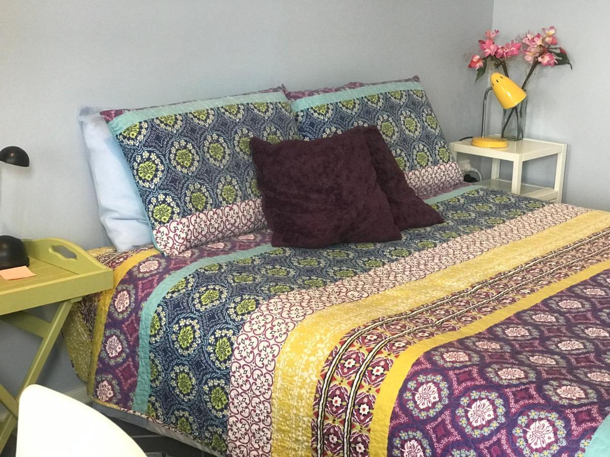 Cosy Caversham Retreat Dunedin Luaran gambar